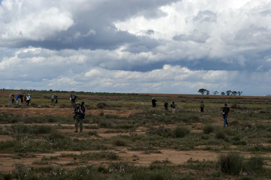El Plañeron